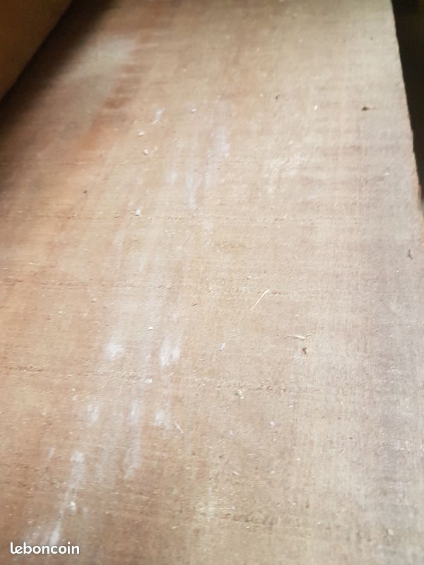 Bois exotique movinguy (image 3)