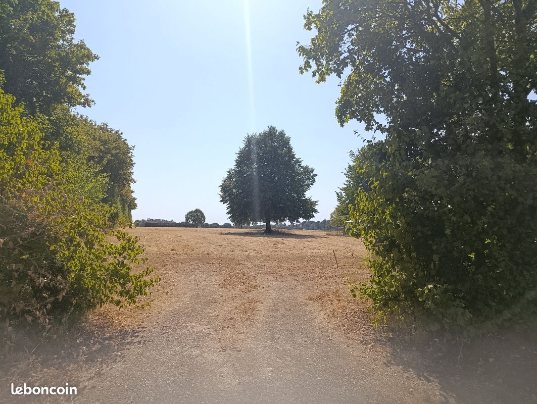 Vente terrain communal viabilisé de 1100m2 · à Ruan-sur-Egvonne · 18 500 €