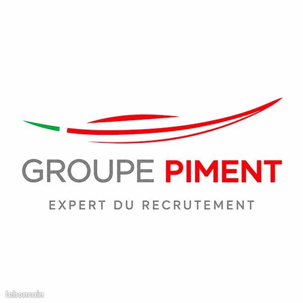 Câbleur - GROUPE PIMENT (H/F/X) (image 1)