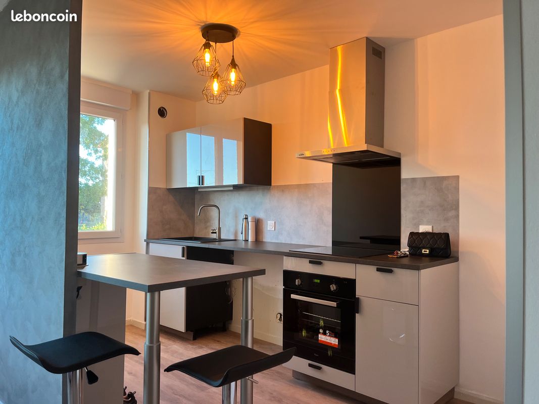 T2 48 m2 - Limoges 87000 (image principale 0)