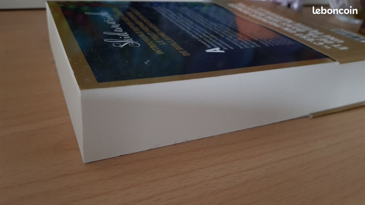 Livre Skidamarink MUSSO (image 3)