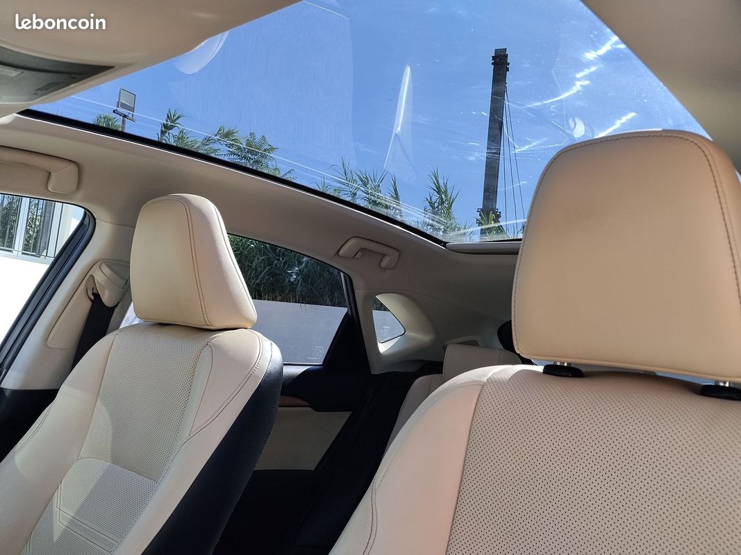 Lexus NX 300H 4WD LUXE (image 12)