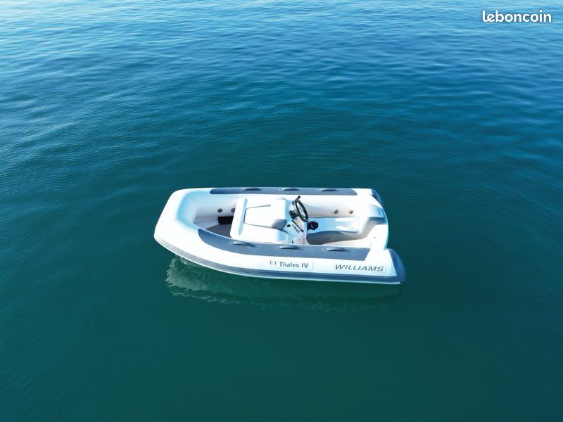 Williams 280 minijet (image 3)