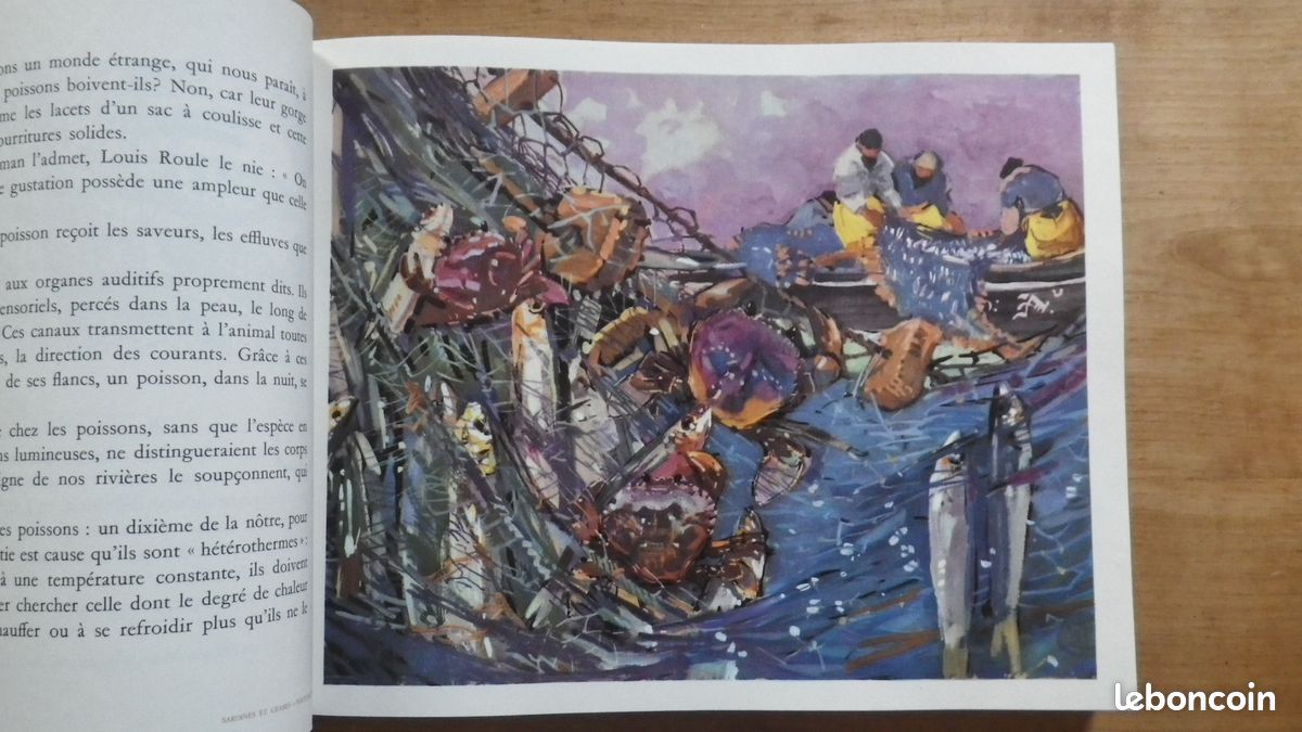 R. Vercel : pecheurs des quatre mers - 1957 (image 4)