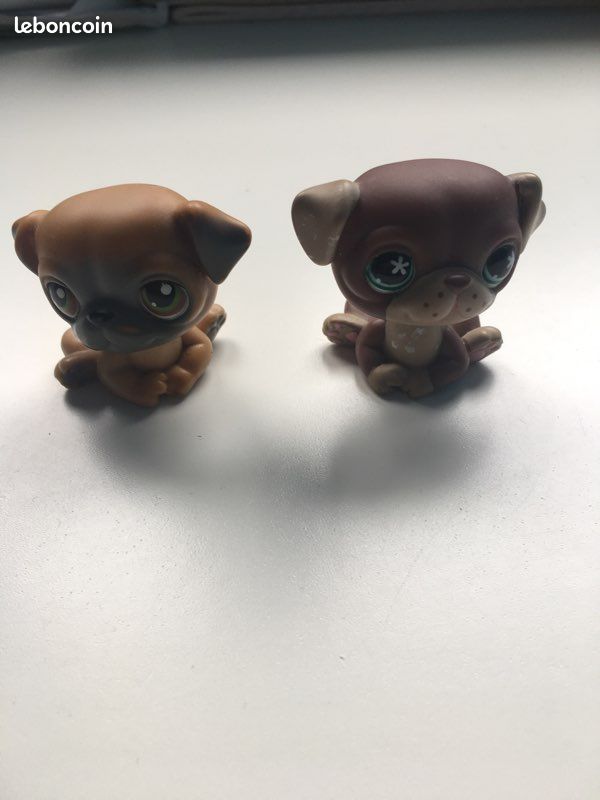 Jouer petshop (image 1)