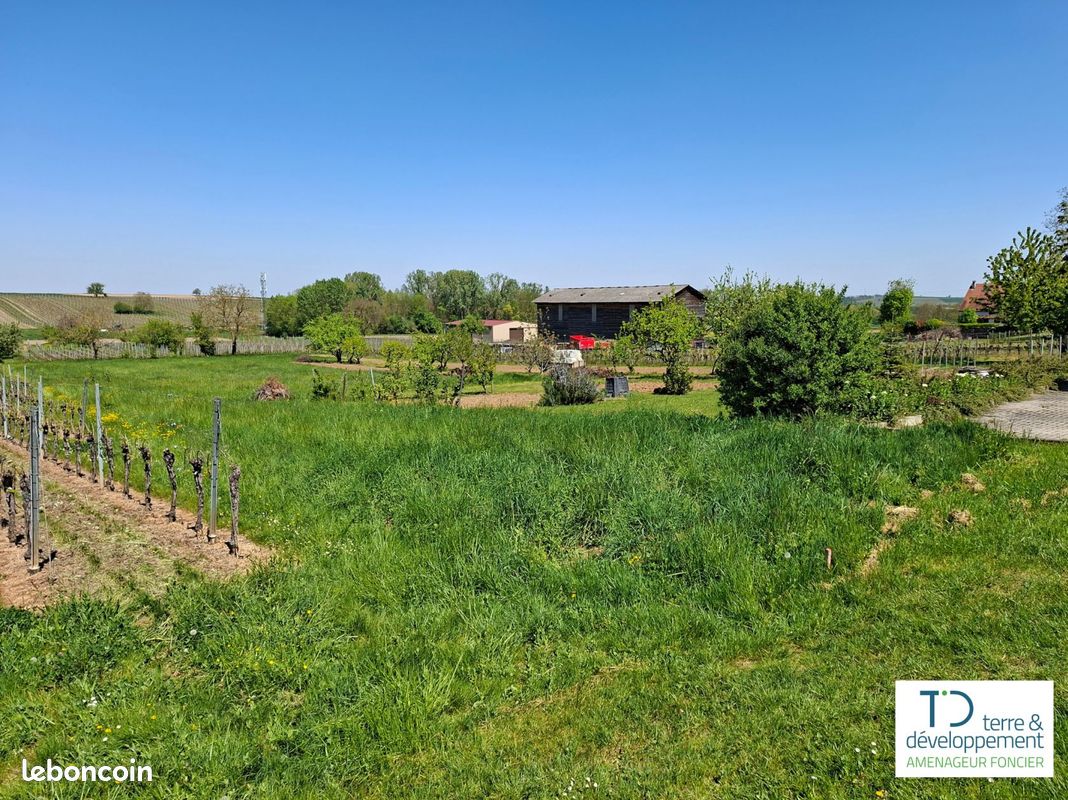 Terrain de 419 m² à DAHLENHEIM (BAS-RHIN) · 123 605 €