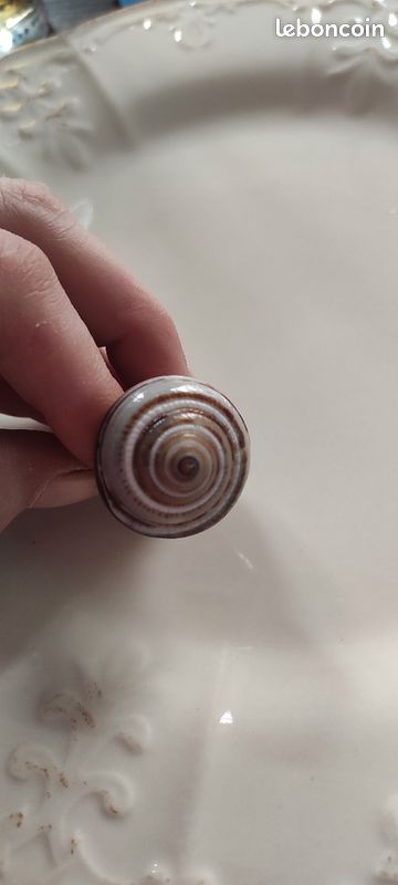Bague coquillage (image 4)