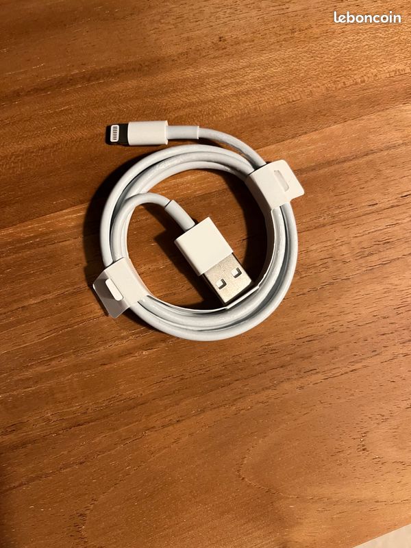 Câble secteur Lightning ing/ USB Apple neuf d’origine (image 1)
