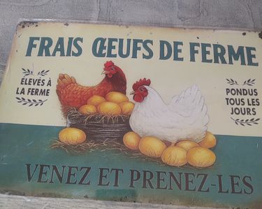 Hühnerhof 609 - Plaque Décorative En Tôle Humoristique - Motif Poule Et œuf - 28 X 12 Cm