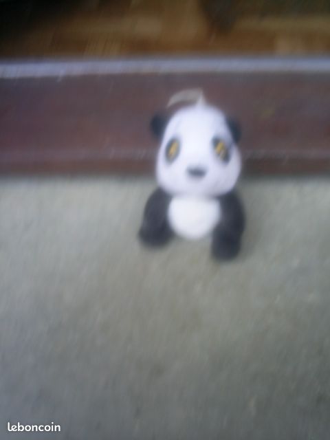 Peluche ours (image 1)