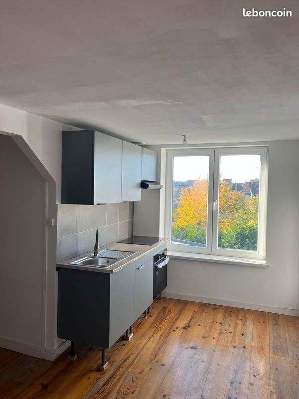 Appartement a louer roubaix - 2 pièce(s) - 67 m2 - Surfyn