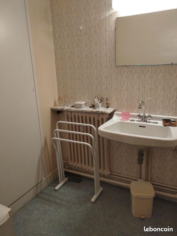 Appartement 8 pièces 172 m² - Limoges 87000 (image principale 8)
