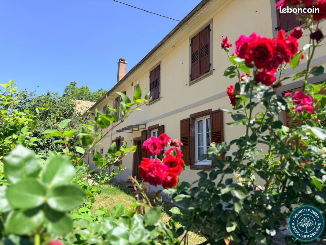 Maison 12 pièces 350 m² · à Berstett · 350 m² · 745 000 €