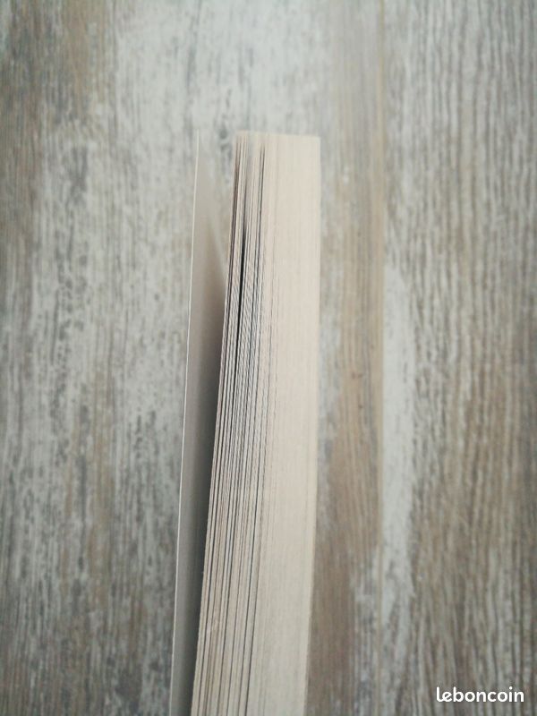 Livre roman Quelqu'un de bien de Françoise Bourdin (image 7)