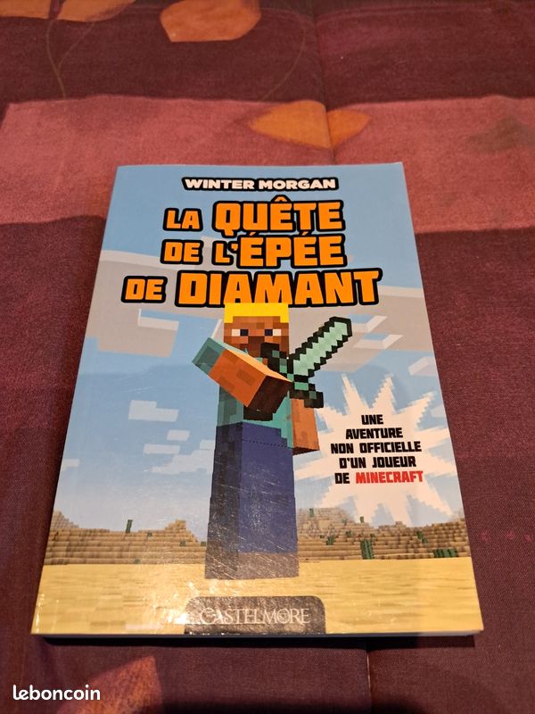 2 livres Minecraft (image 7)