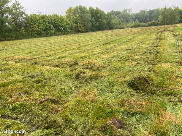 Terrain pour animaux
