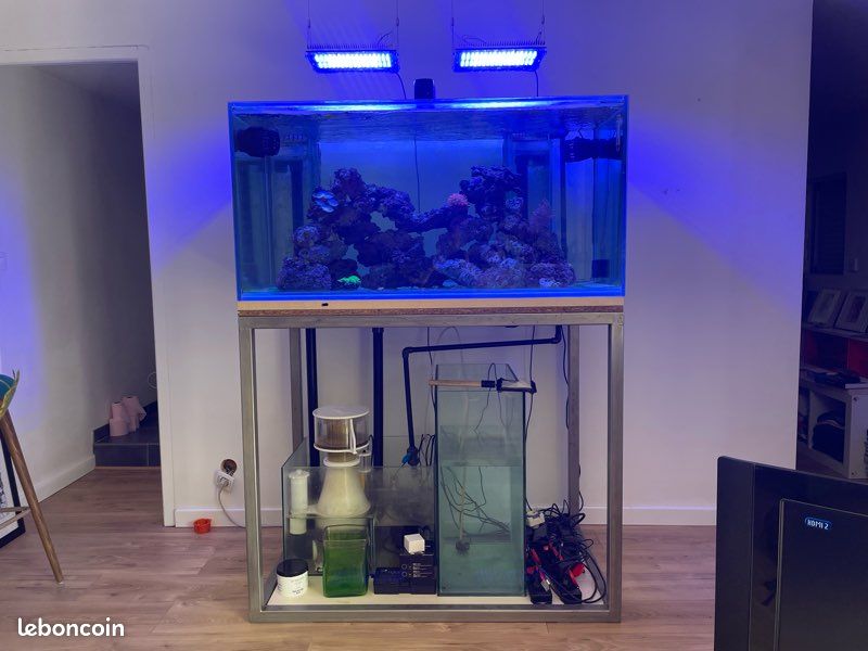 Aquarium récital 500 litres complet (image 1)