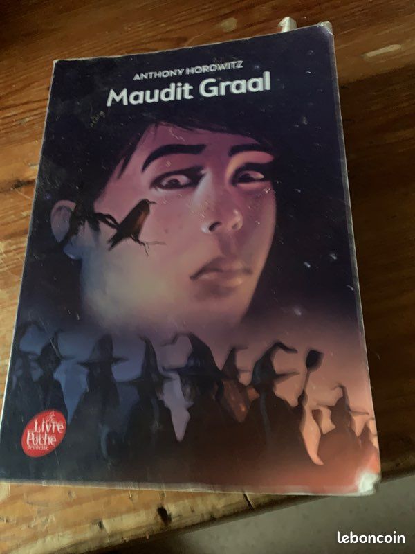 Livre maudit graal (image 2)