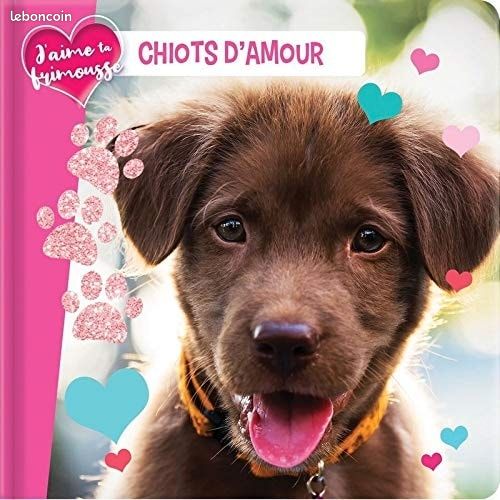 Chiots d'Amour (image 1)