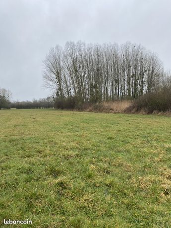 Terrain 11 m² Château-la-Vallière