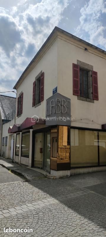 Immeuble 7 pièces 245 m² · à Lesneven · 245 m² · 208 000 €