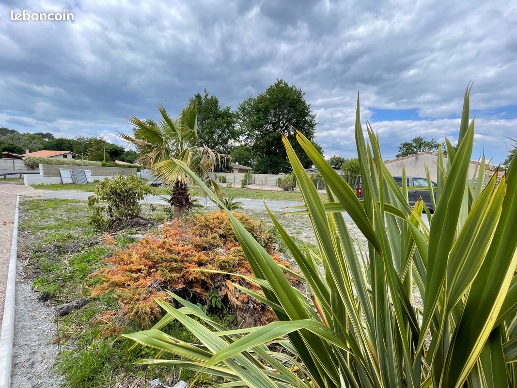 Terrain 908 m² · à Gujan-Mestras · 908 m² · 245 000 €