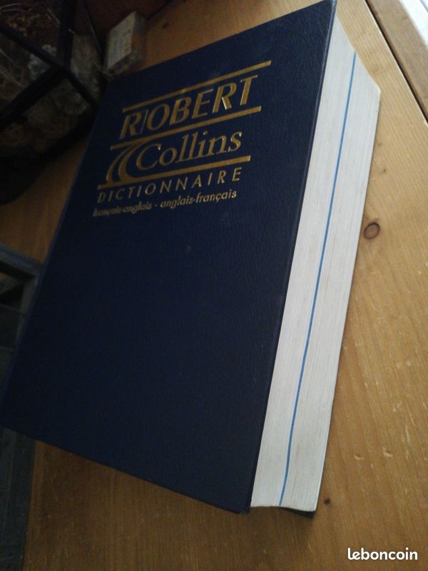 Dictionnaire français anglais (image 2)