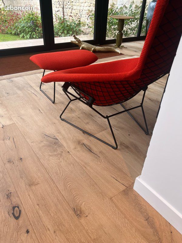 Knoll Bertoia Bird et repose pieds neuf (image 3)