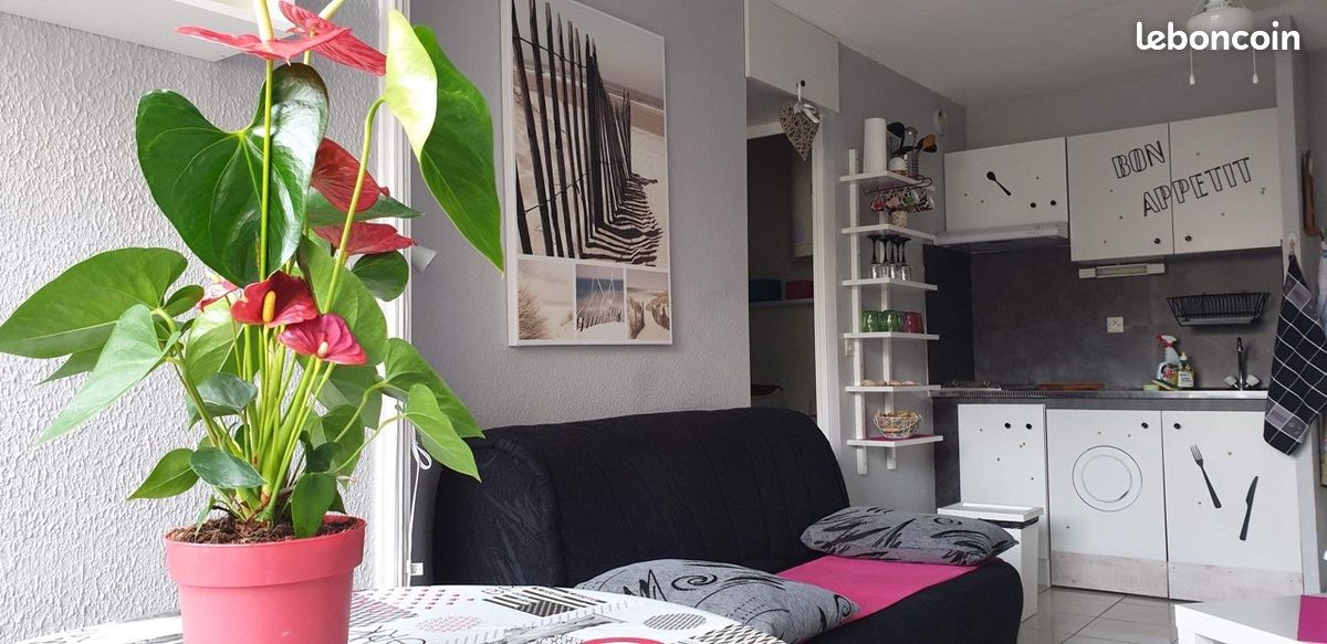 Appartement 2 pièces 30 m² · à Gruissan · 30 m² · 550 €/mois