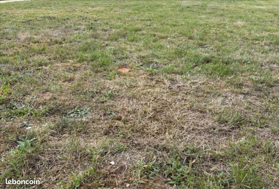 Terrain 320 m² Les Damps · 47 000 €