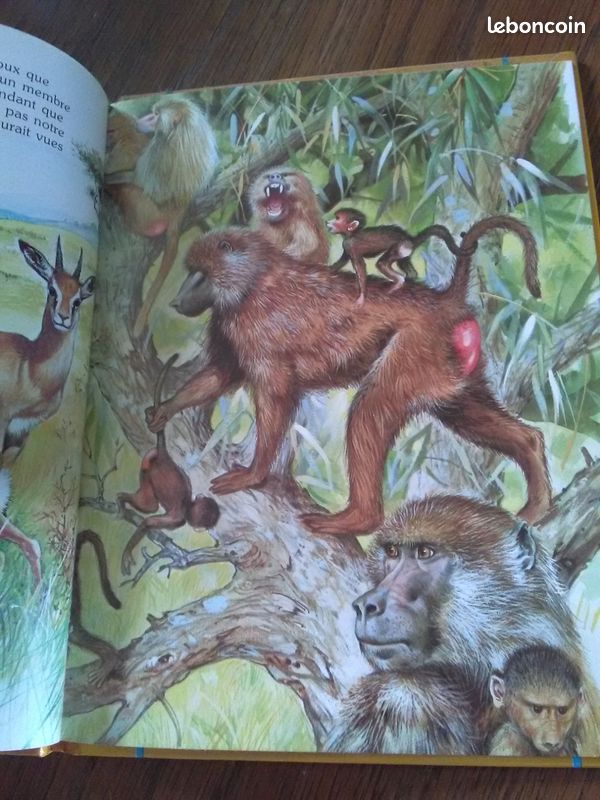 Livres pour enfants j'ai rencontré (image 4)