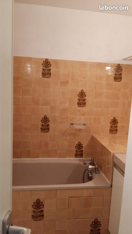 Loue appartement tout confort 4 personnes Station Ax-les-Thermes Bonascre Ax 3 domaines Pyrénées (image 4)