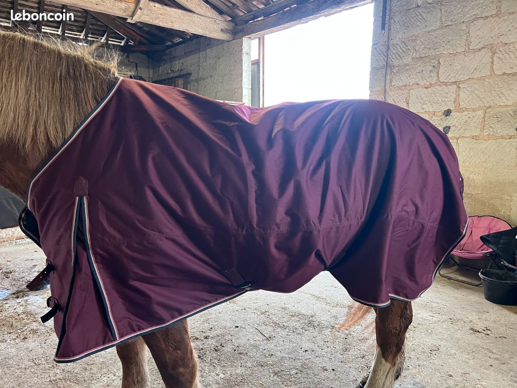 Couverture D'hiver Pour Cheval, Isolée, Doublée, Bordeaux, Taille 72, Excellent état