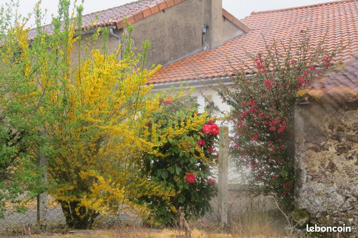 Ferme 6 pièces 110 m² - L'Absie 79240 (image principale 0)