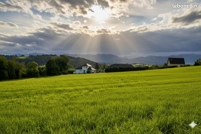 Terrain 2 241 m² Bosdarros