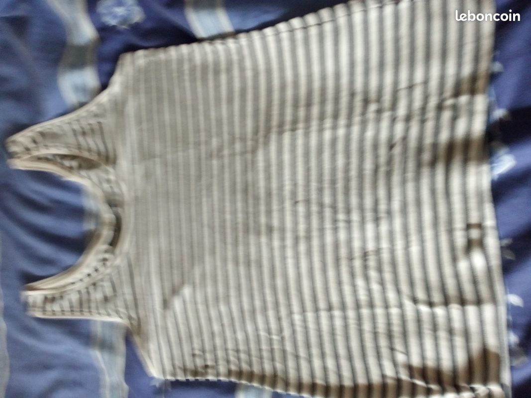 Tee shirt bleu et blanc taille 42 (image 1)