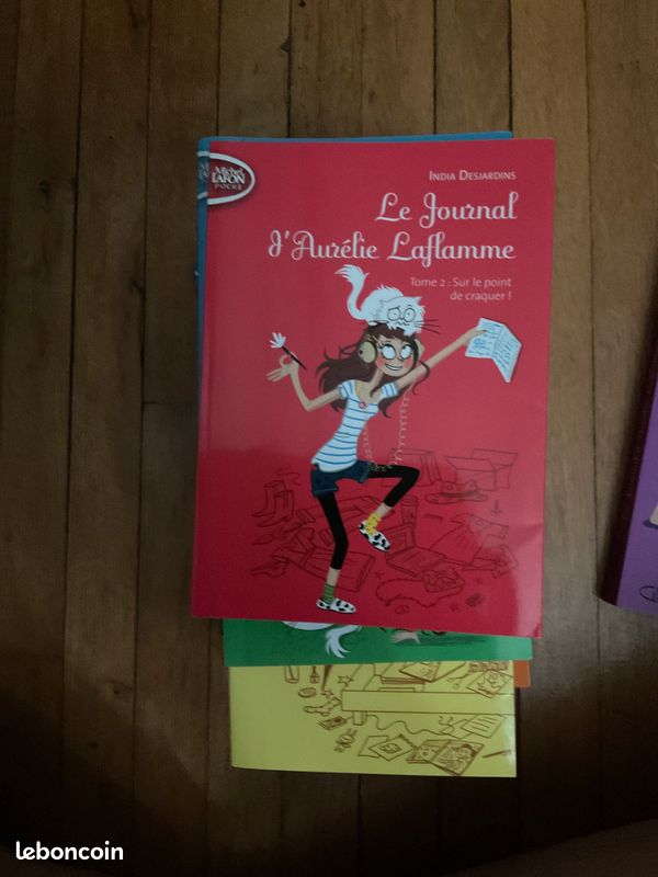 Intégrale du Journal d’Aurélie Laflamme (image 3)