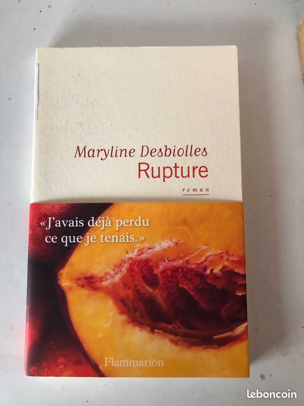 Roman " Rupture" de Maryline Desbiolles (image 1)
