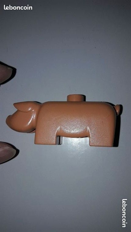 Cochon duplo (image 1)