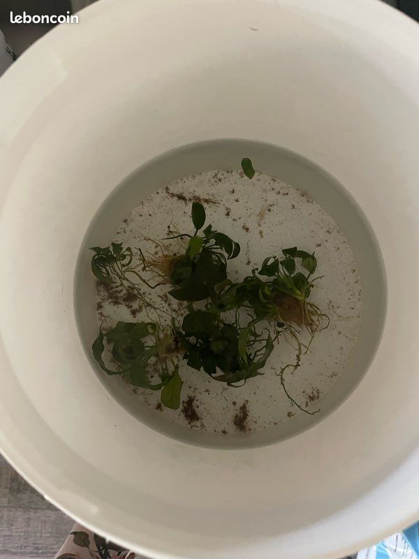 Aquarium 20l (image 3)