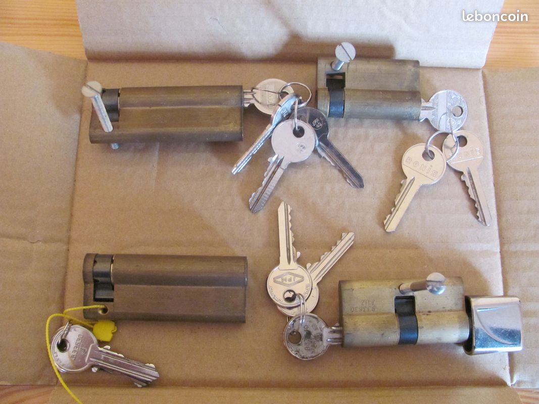 Barillets de portes de différent modèle et différent longueur (image 1)