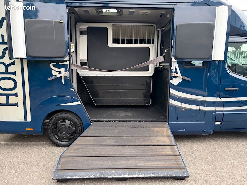 Renault master horsebox stx boite manuelle 2 chevaux (image 5)