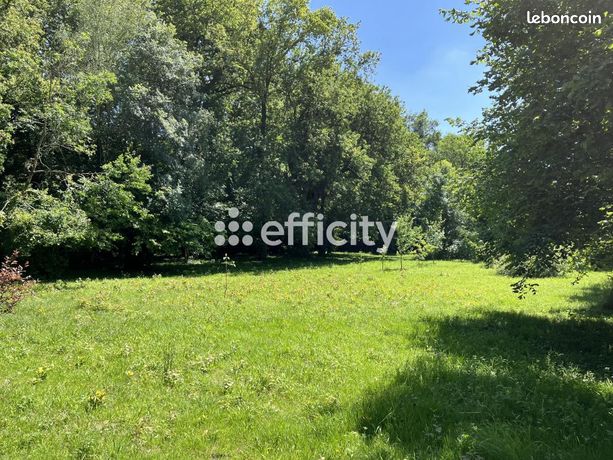 Terrain 6 082 m² Saujon