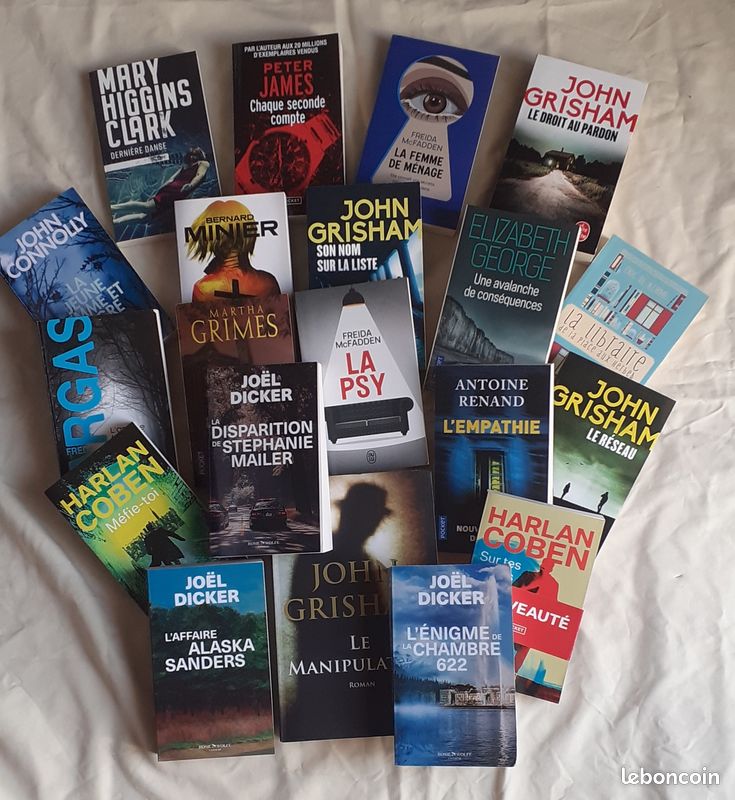 Livres de poche récents d'auteurs en vogue (stock 20) (image 1)