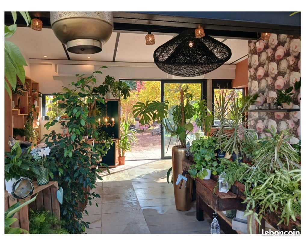 Location d'un local professionnel (image 1)