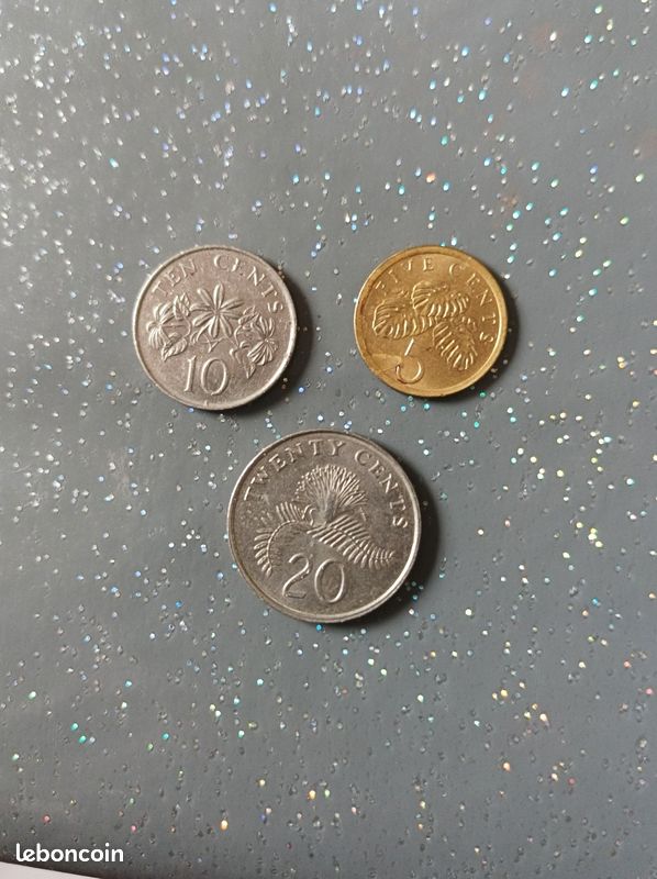 Monnaie de Singapour (image 3)