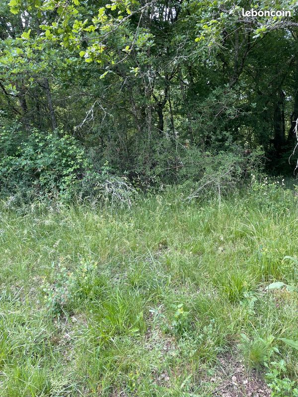 A vendre terrains sur Saint Astier · à Saint-Astier · 24 000 €