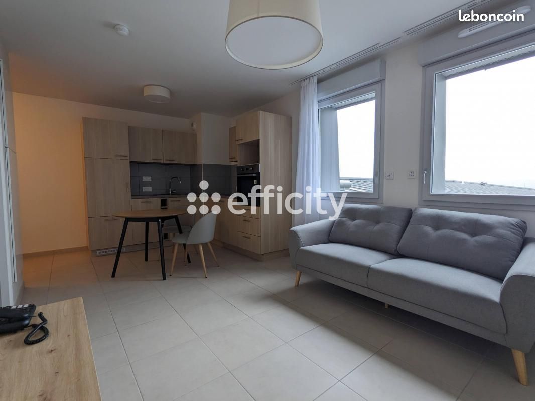 Appartement 1 pièce 44 m² - Limoges 87000 (image principale 0)