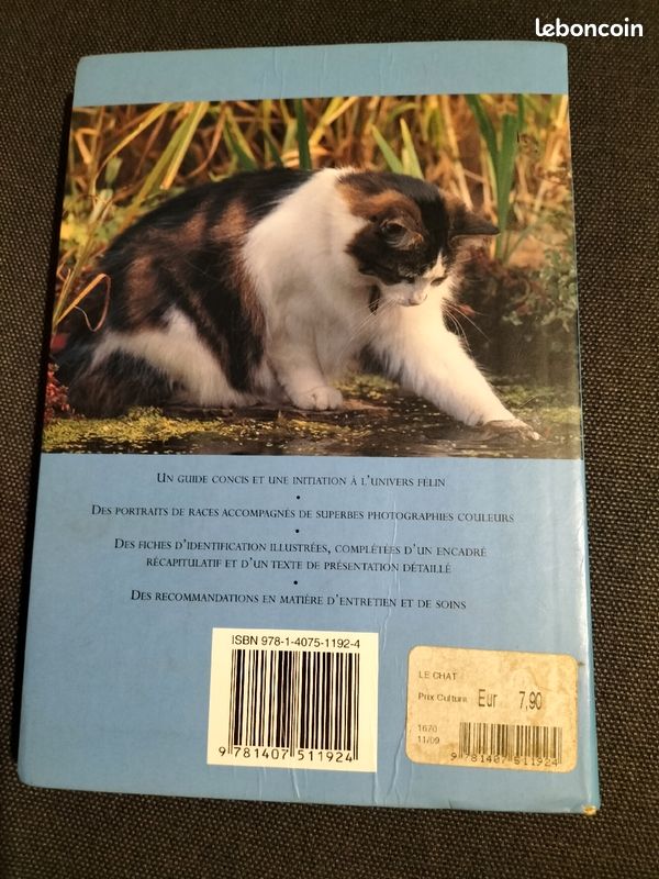 Mon compagnon le chat (image 2)