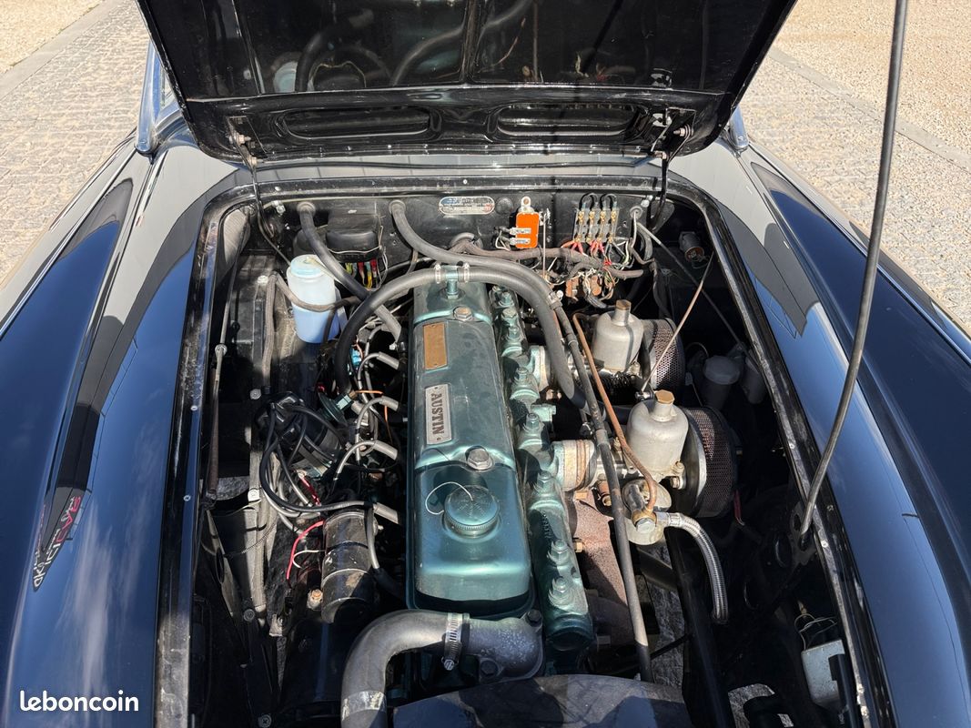 AUSTIN HEALEY Bn4 2.6L 6 cylindres BMC C-Series 1957 Restaurée Entièrement en 2018 (image 19)